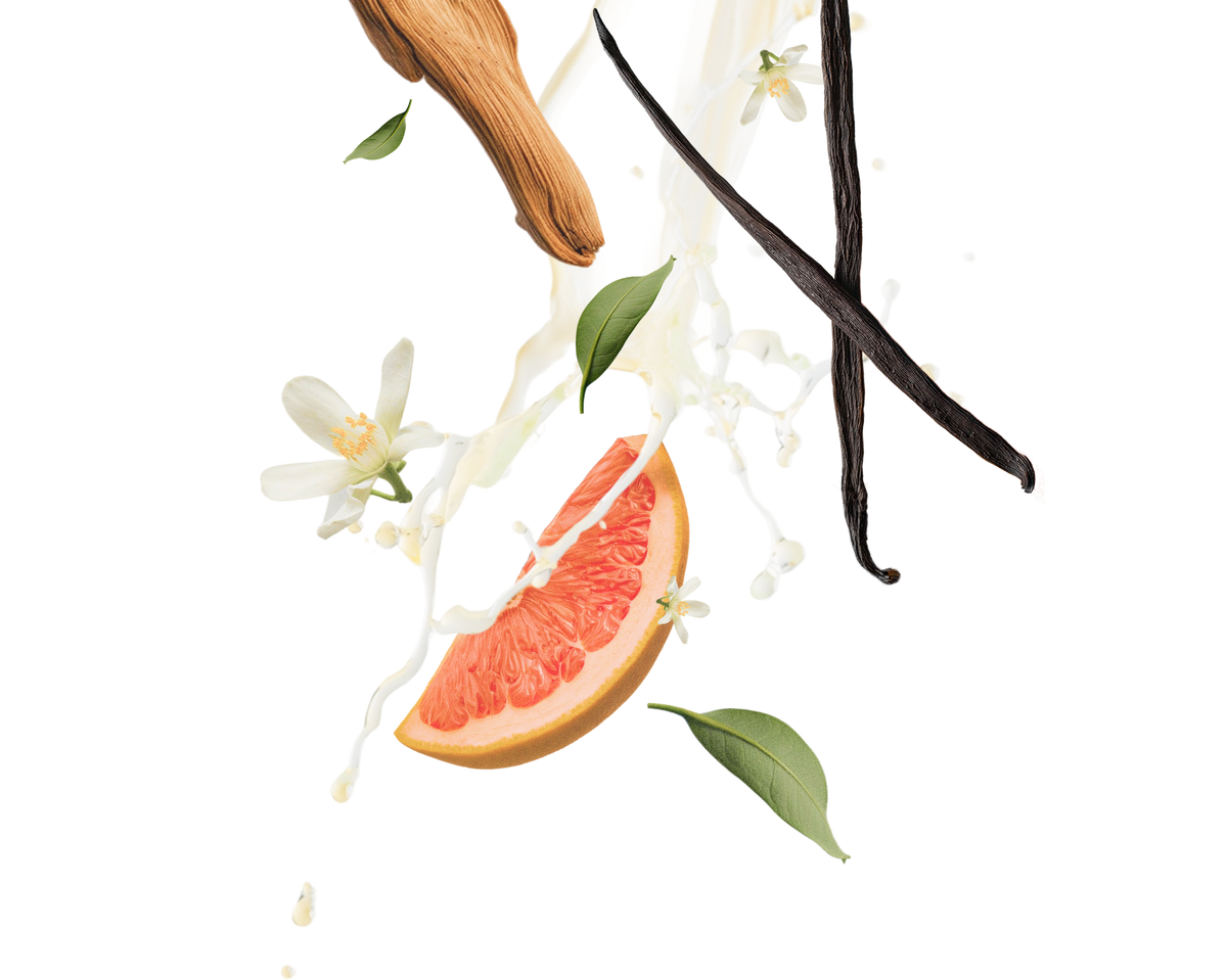 Printemps Blanc olfactory notes